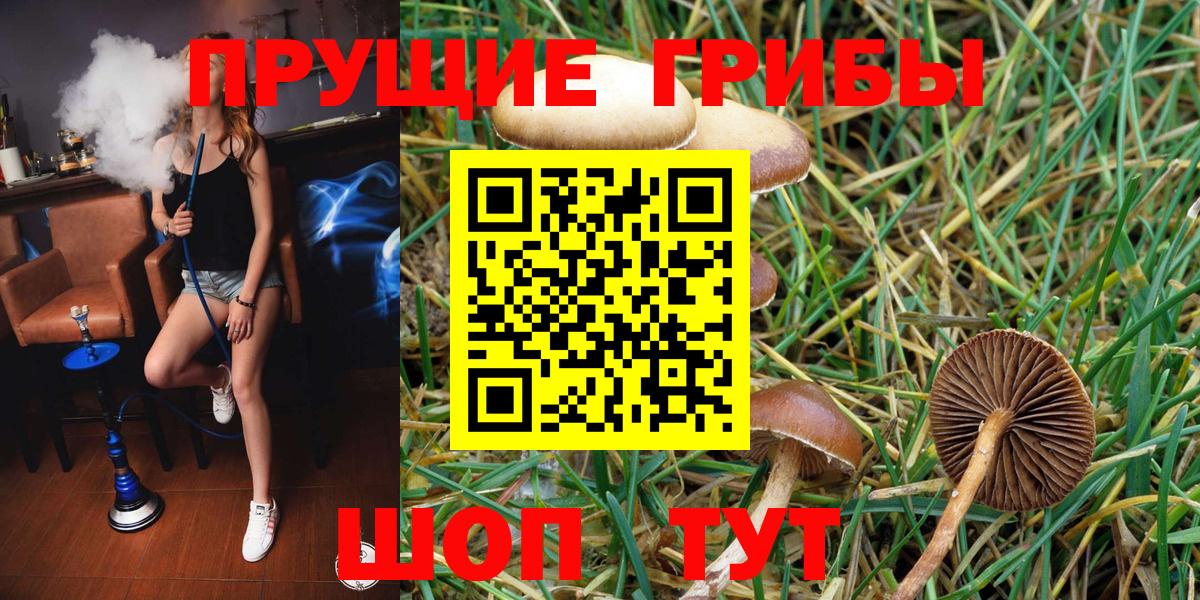 Галлюциногенные грибы Magic Shrooms Моршанск